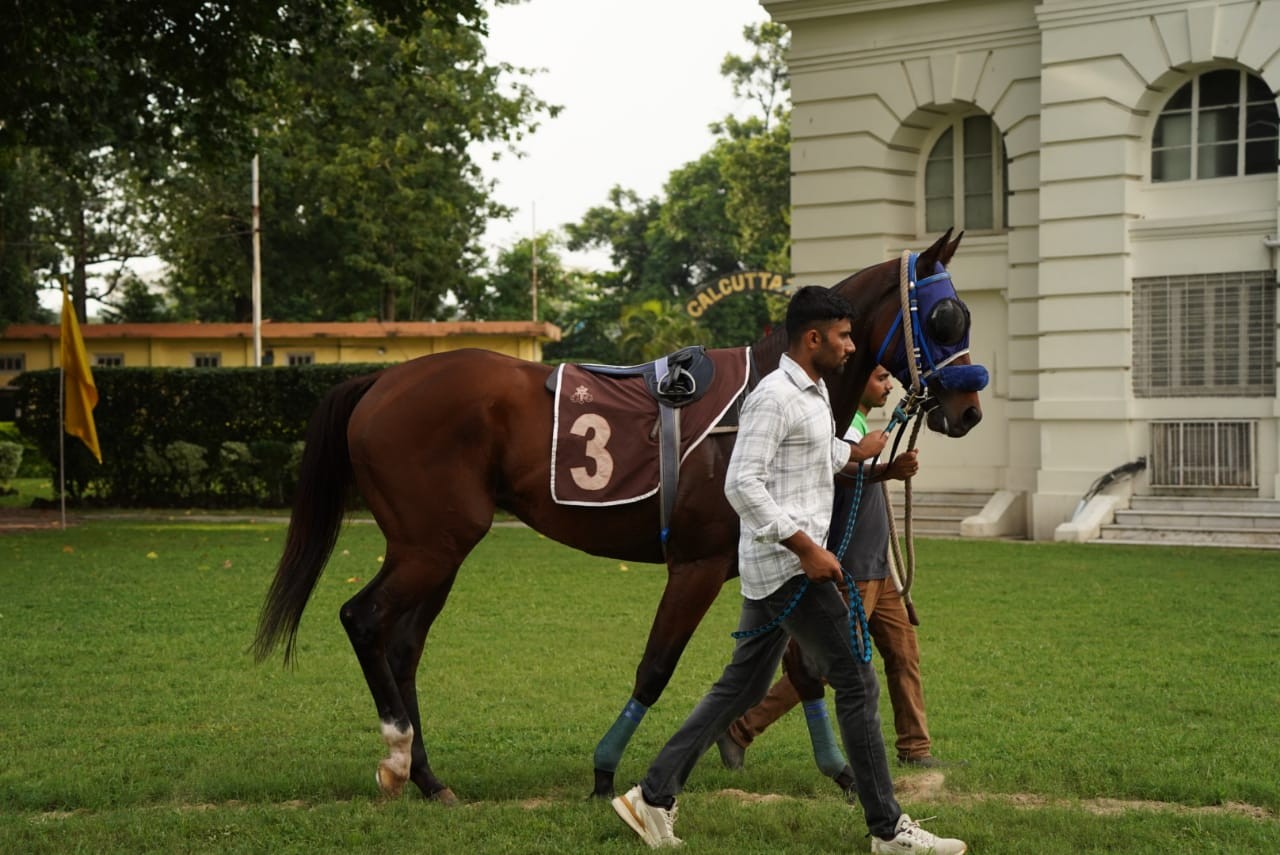 Calcutta, 26.09.2023