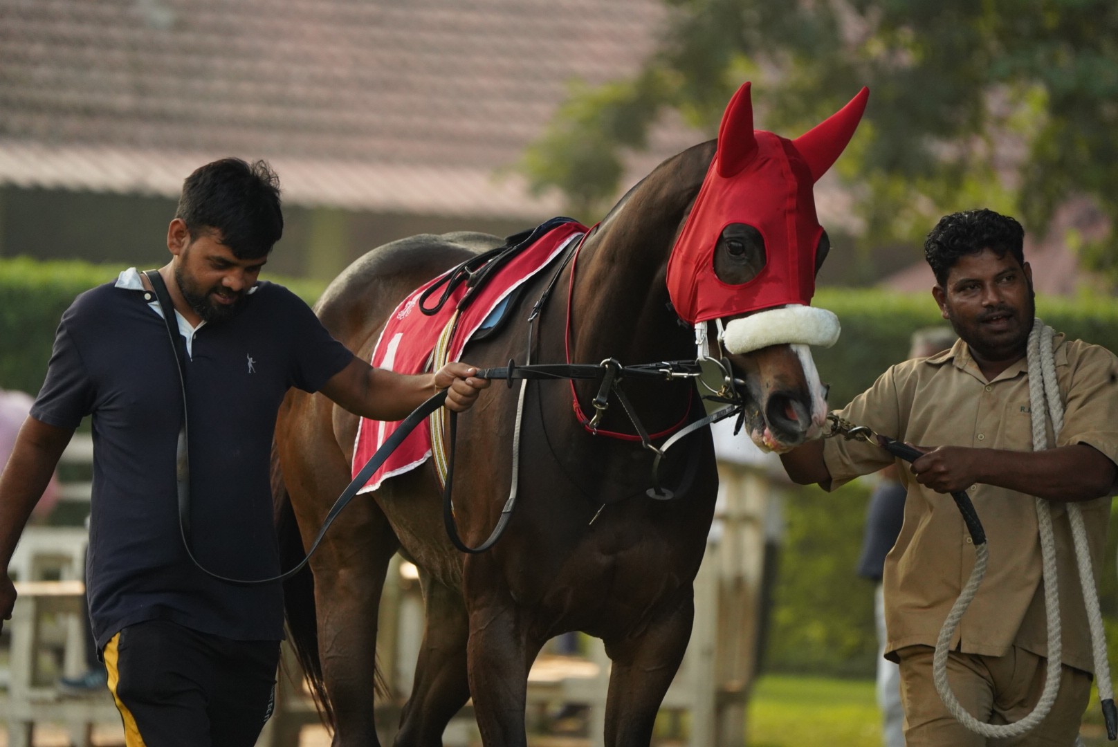 Calcutta, 18.10.2023