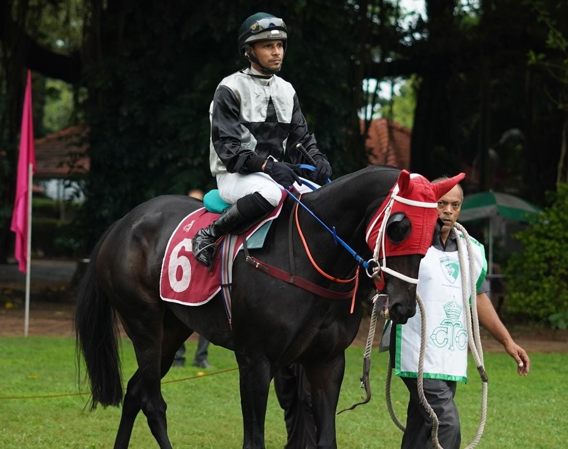 Calcutta, 03.10.2023