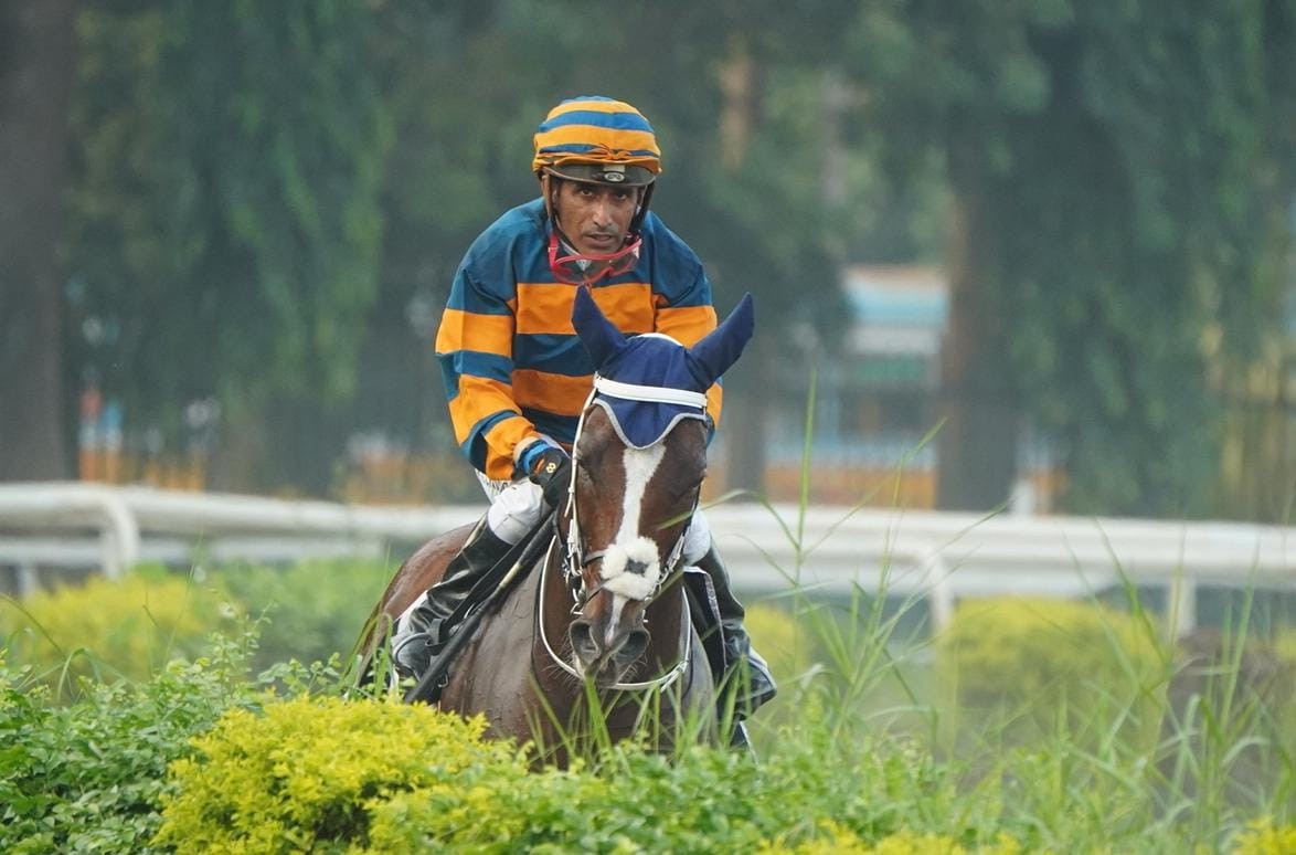 19 The Arezzo Handicap Rt 01 46 11 October 2023 Telegraph India