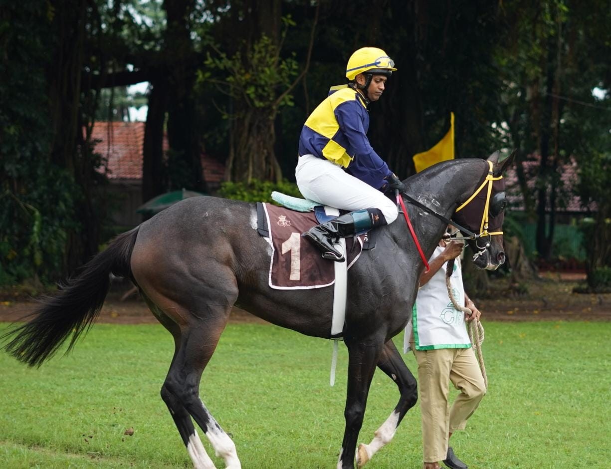 Calcutta, 03.10.2023