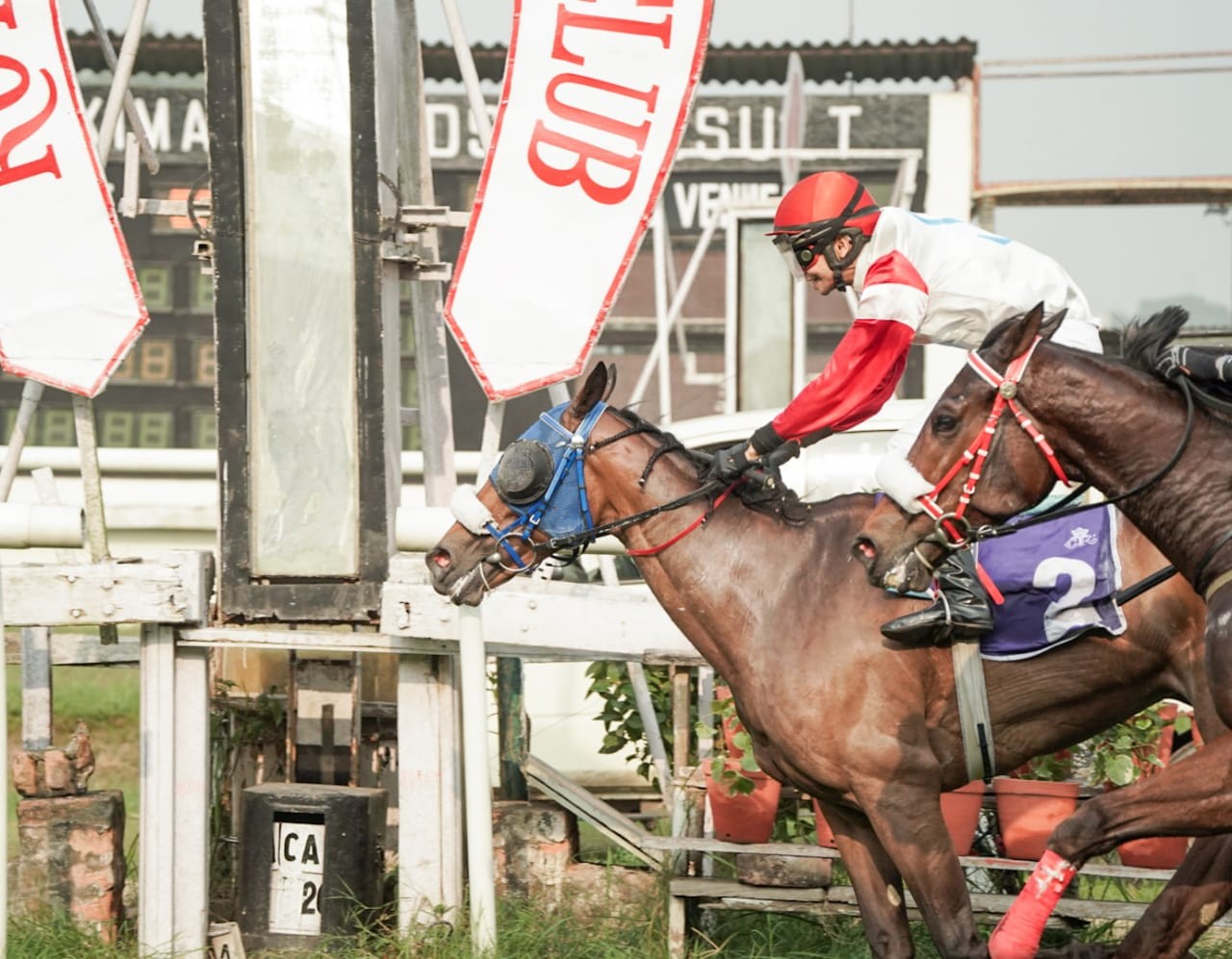 Calcutta, 10.11.2023