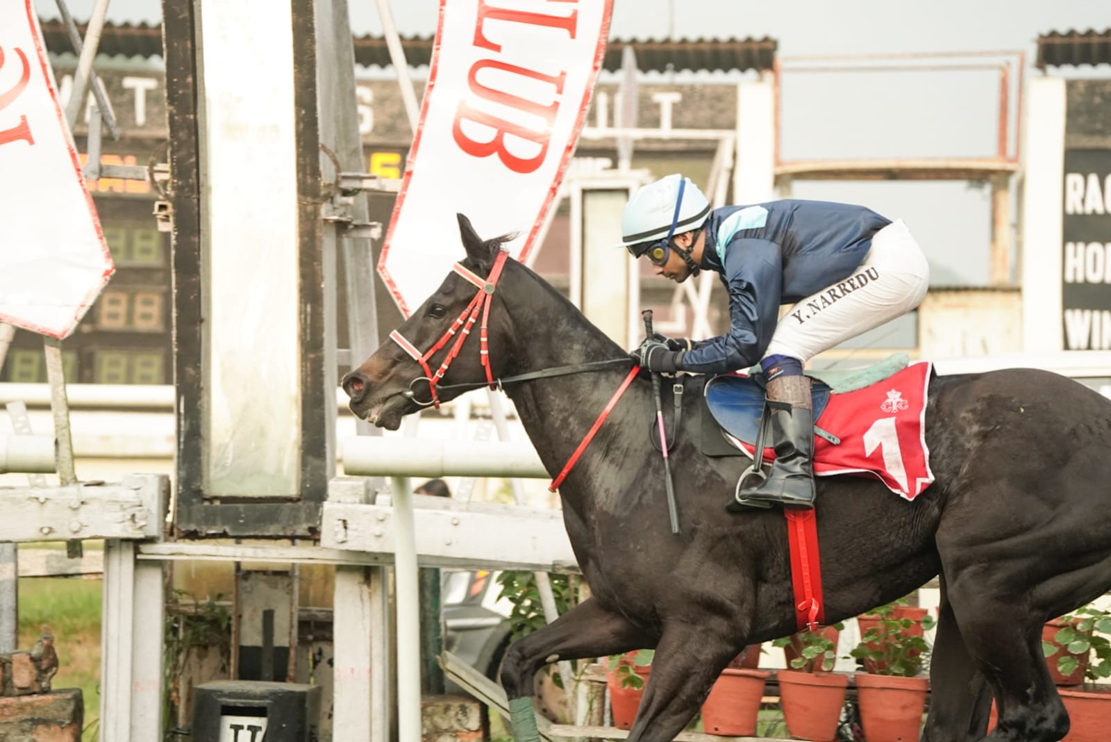 Calcutta, 10.11.2023