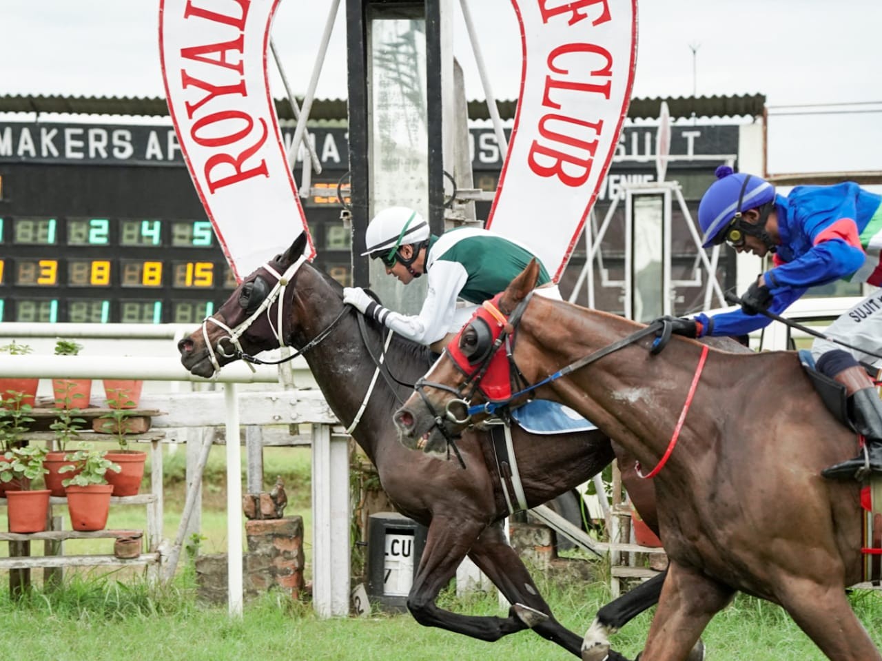 Calcutta, 17.11.2023