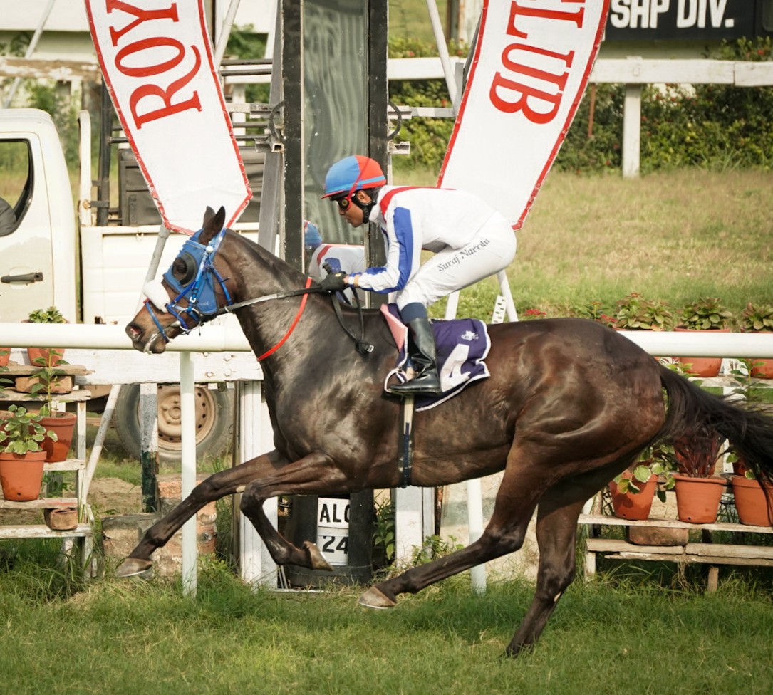 Calcutta, 24.11.2023