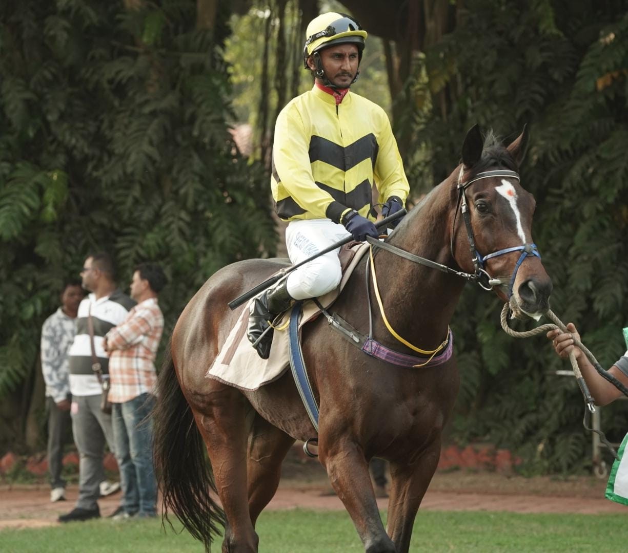 Calcutta, 24.11.2023