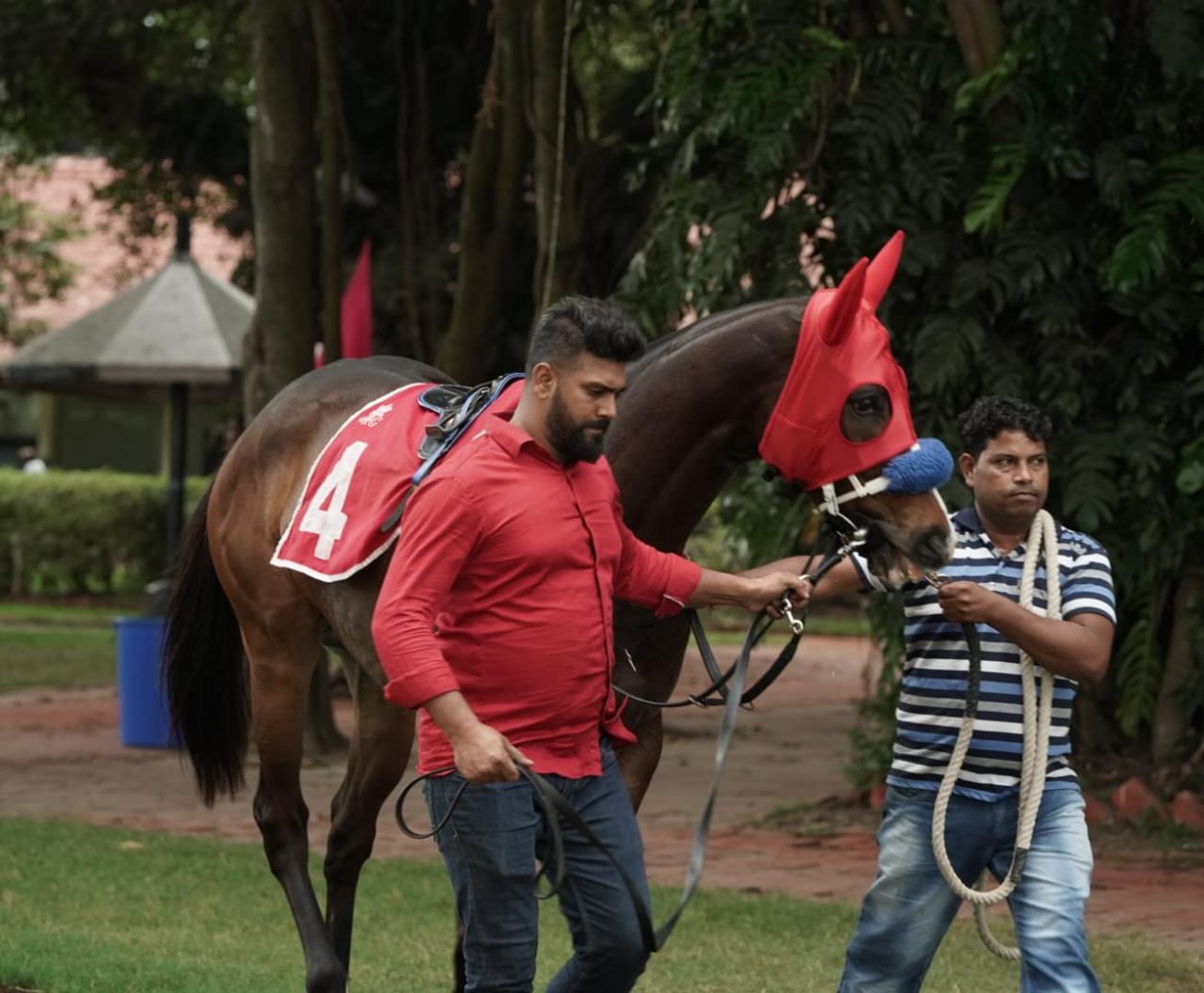 Calcutta, 17.11.2023