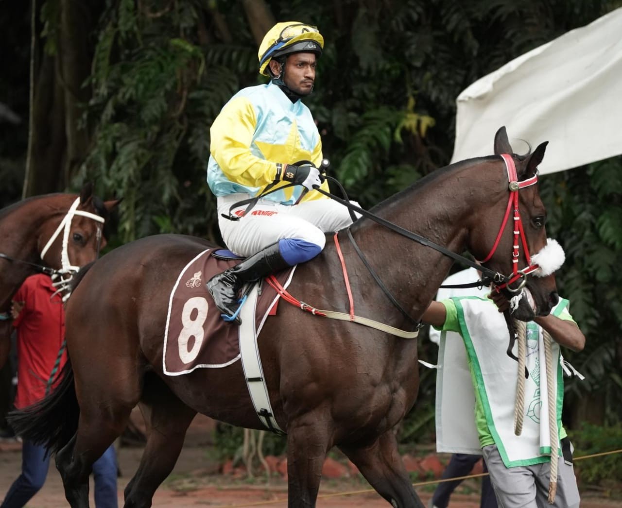 Calcutta, 17.11.2023