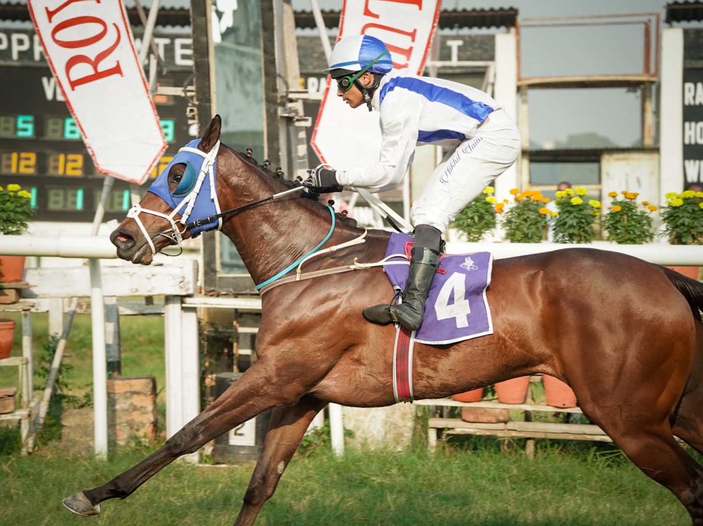 Calcutta, 02.12.2023