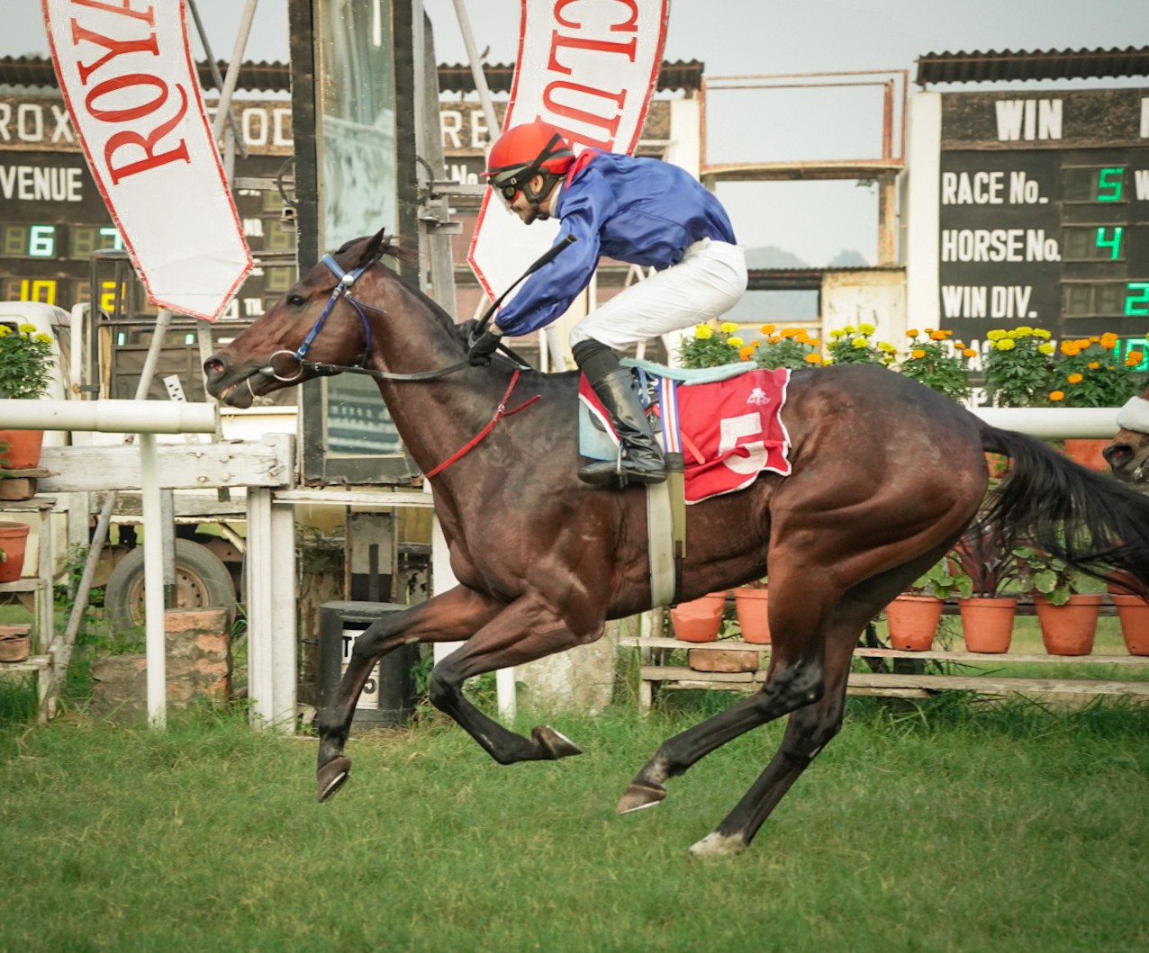 Calcutta, 02.12.2023