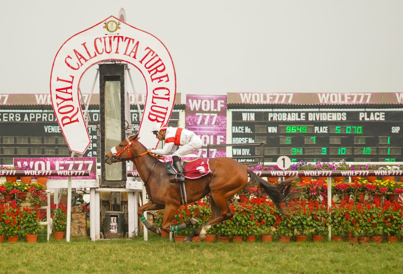 Calcutta, 18.01.2023