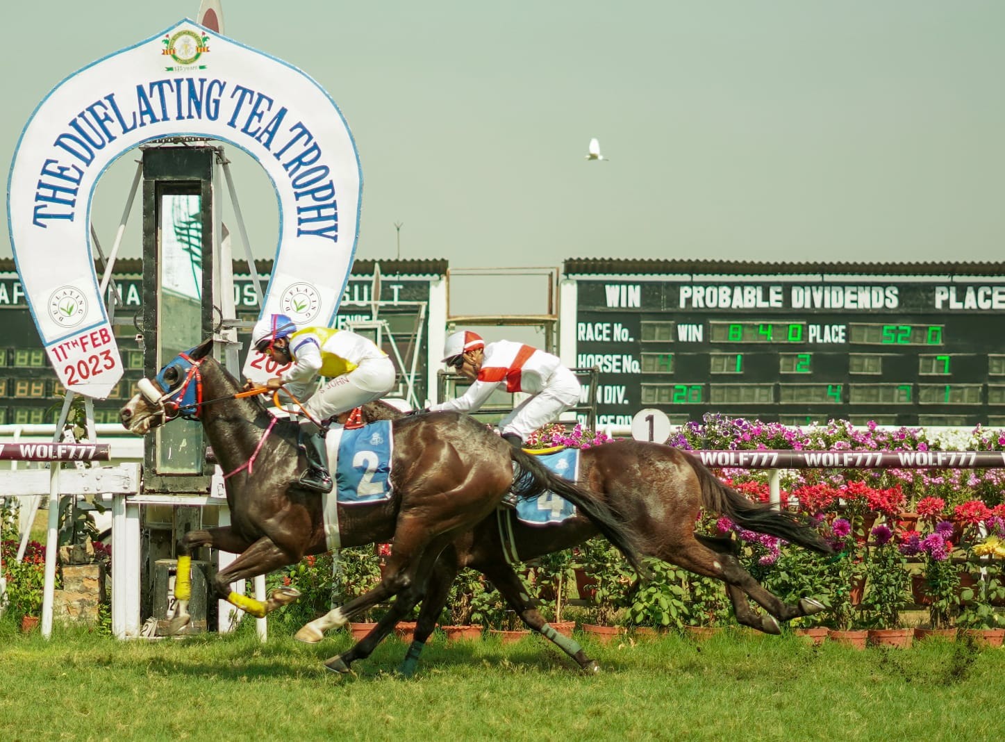 Calcutta, 11.02.2023