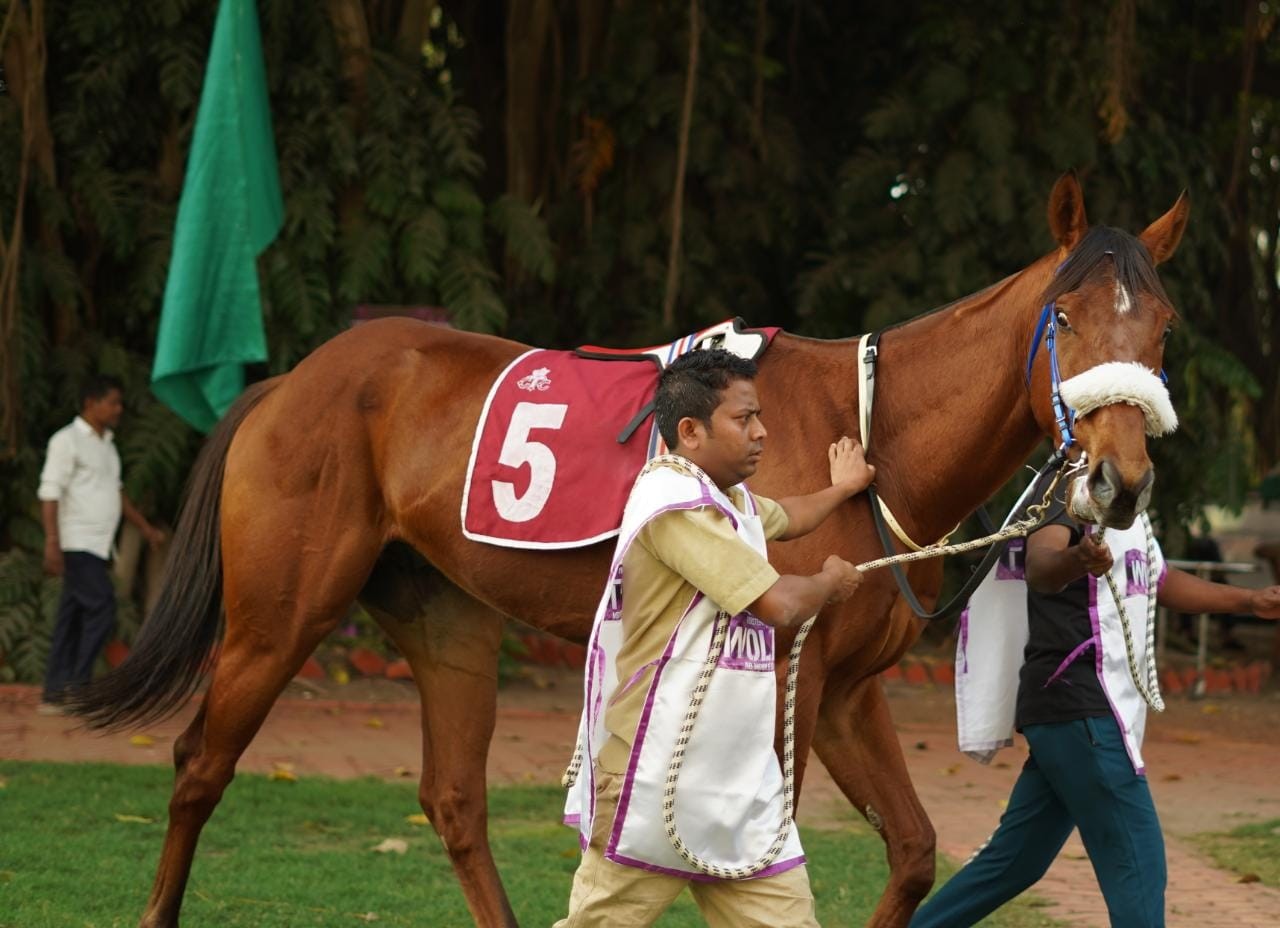 Calcutta, 01.03.2023