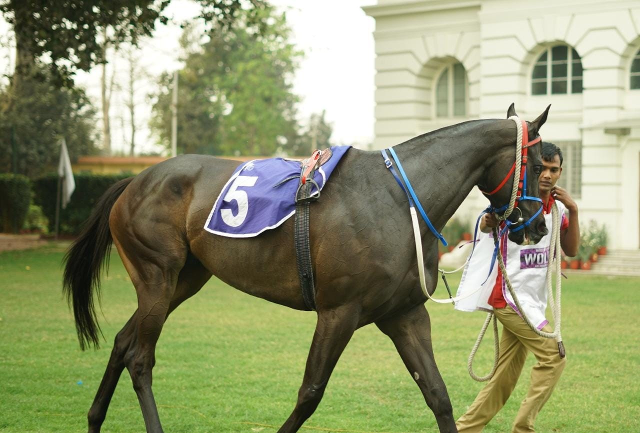 Calcutta, 01.03.2023