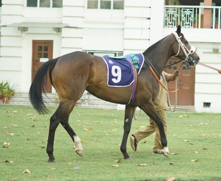 Calcutta, 12.04.2023