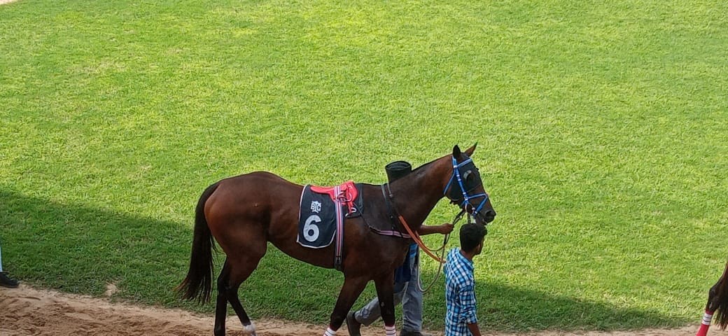 Bangalore, 15.07.2023