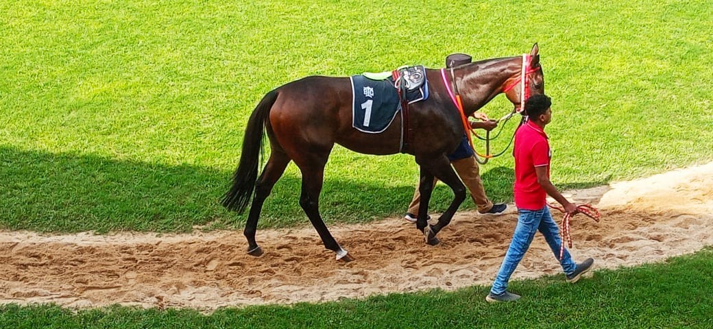 Bangalore, 15.07.2023