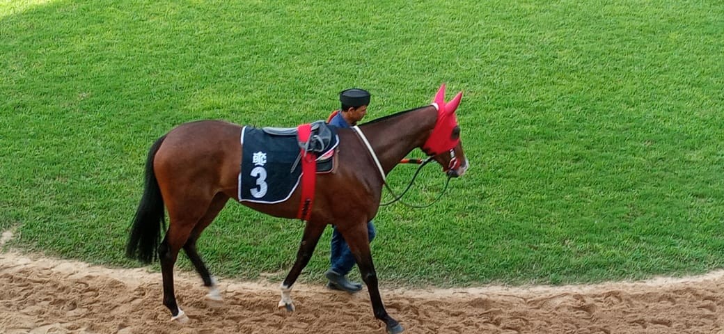 Bangalore, 15.07.2023