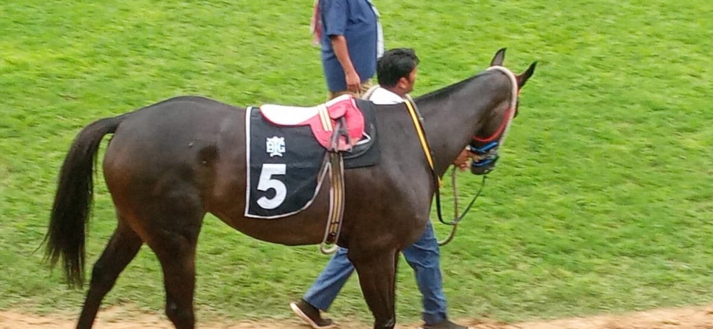 Bangalore, 16.07.2023